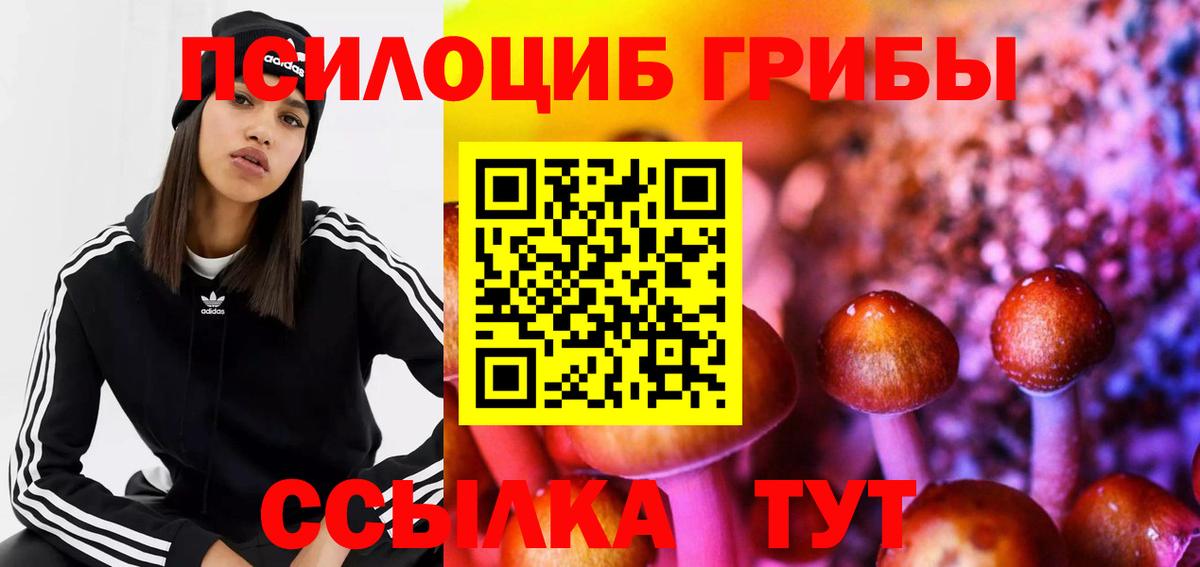 наркота  Вход с VPN  Ишим  Галлюциногенные грибы MAGIC MUSHROOMS 